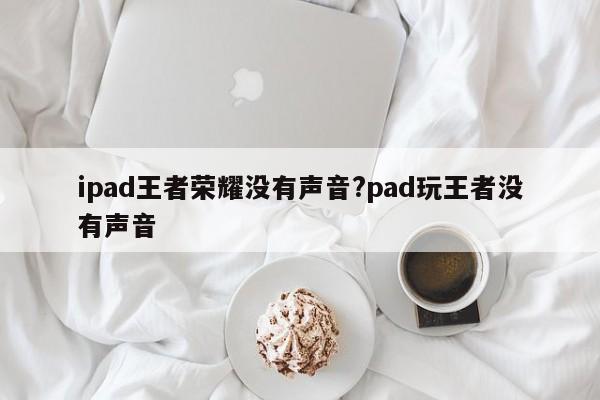 ipad王者荣耀没有声音?pad玩王者没有声音