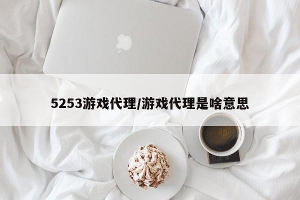 5253游戏代理/游戏代理是啥意思