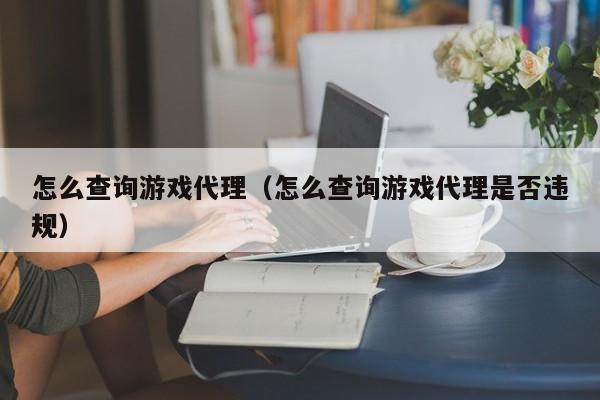 怎么查询游戏代理(怎么查询游戏代理是否违规)