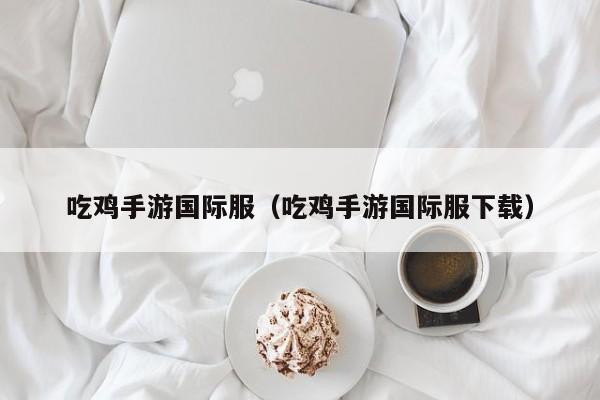 吃鸡手游国际服(吃鸡手游国际服下载)