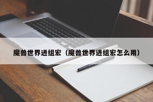 魔兽世界进组宏(魔兽世界进组宏怎么用)