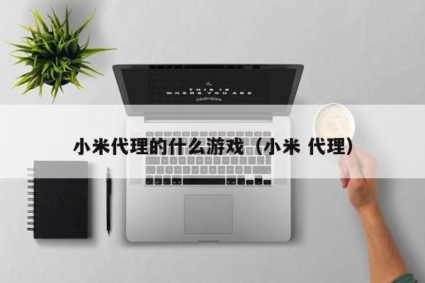 小米代理的什么游戏(小米 代理)