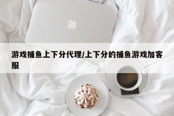 游戏捕鱼上下分代理/上下分的捕鱼游戏加客服